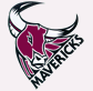 Mavericks Image-large